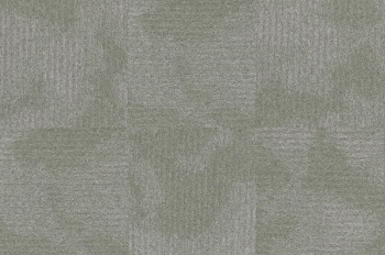 2173 SALVIA 2
