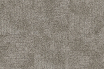 6103 POLVERE 2