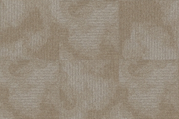 6273 ARGILLA 2