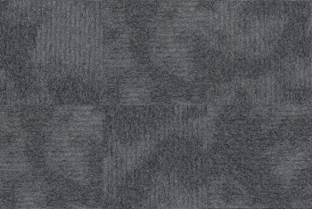 9503 ANTRACITE 2