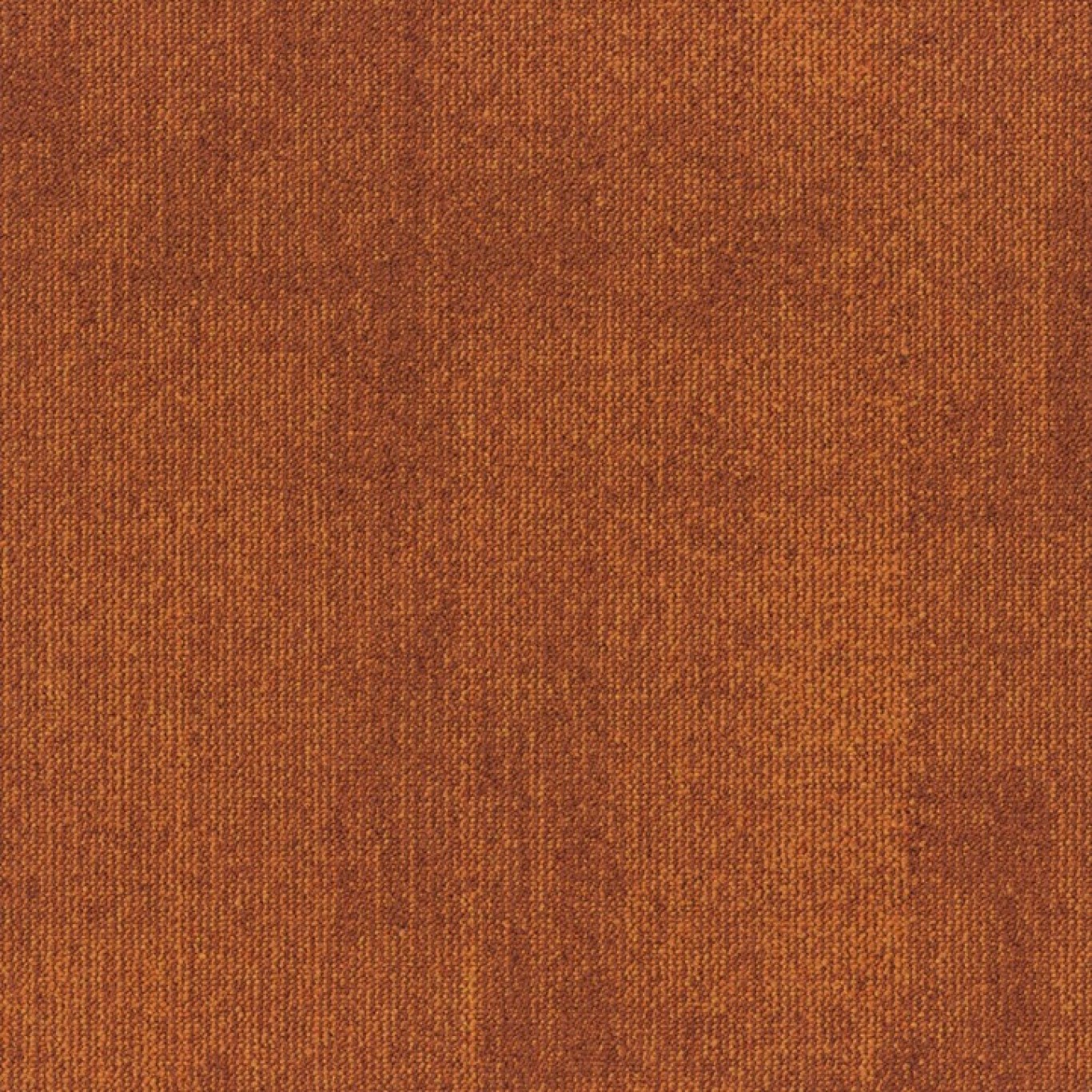 Teak - 273