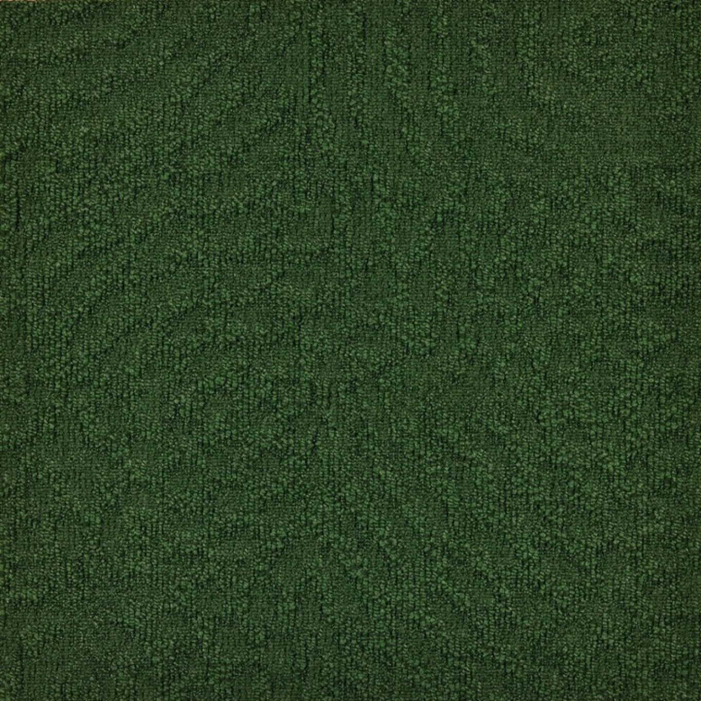 Animate - 621