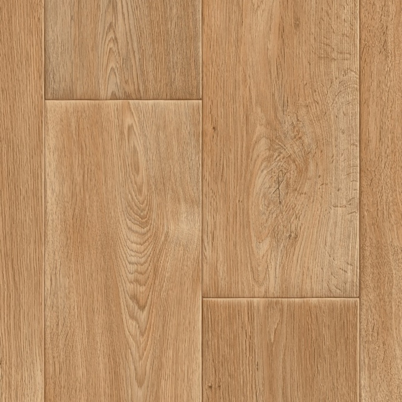 Chestnut_Oak_W62