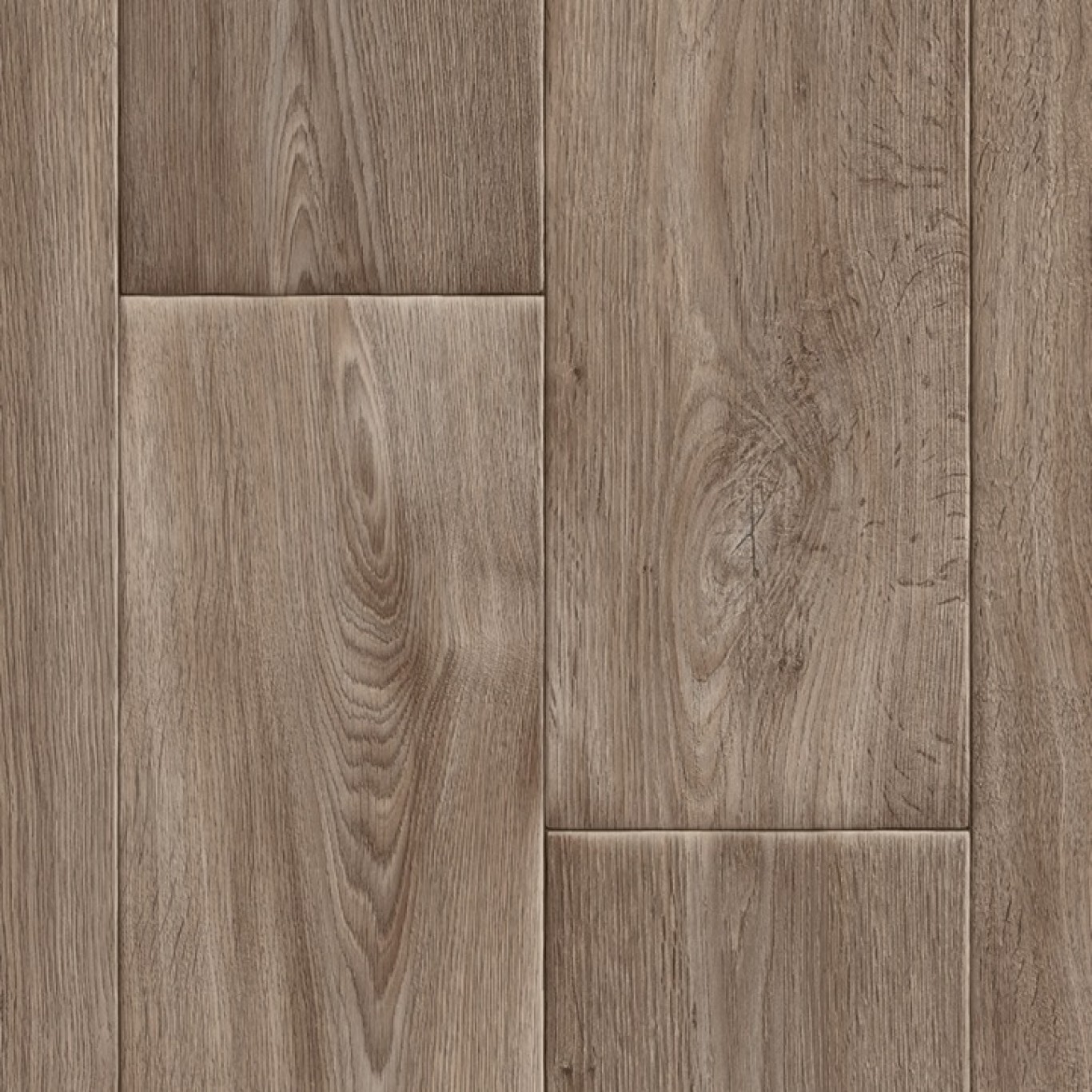 Chestnut_Oak_W84