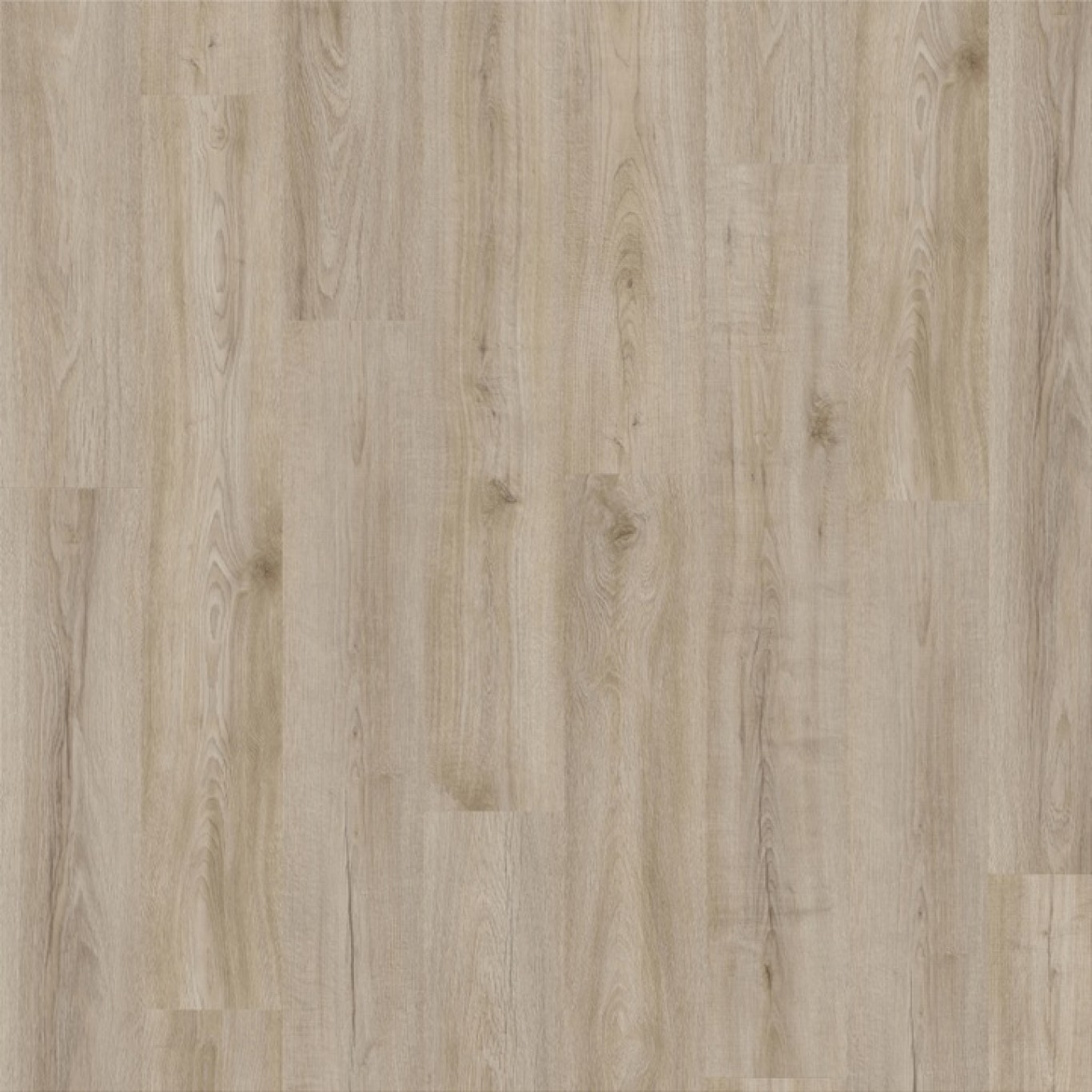 Canyon Oak 90260