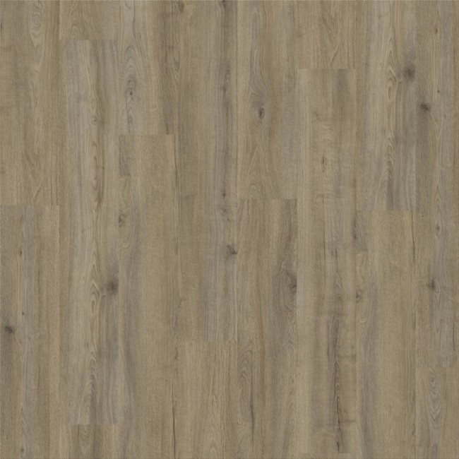Canyon Oak 90841