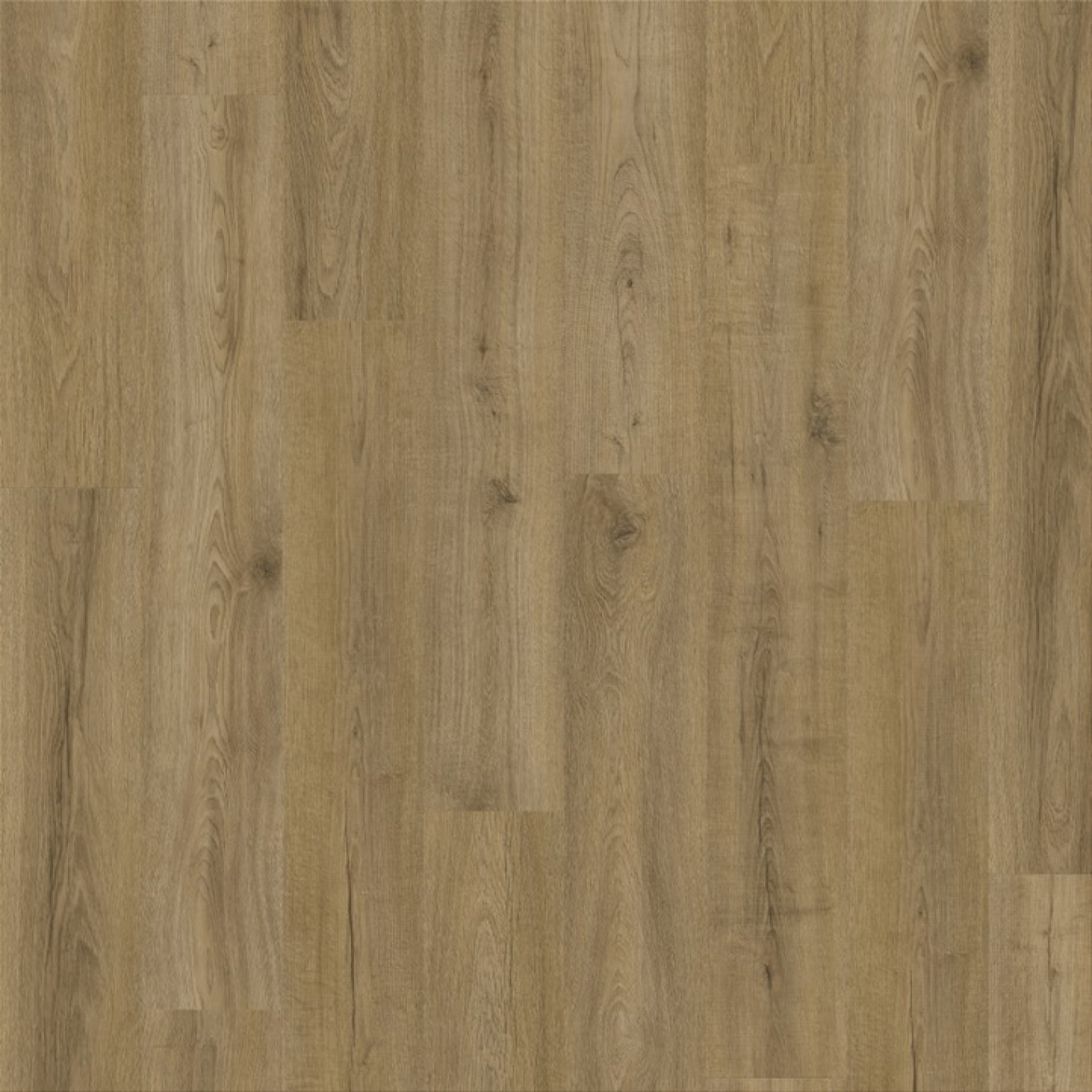 Canyon Oak 90853