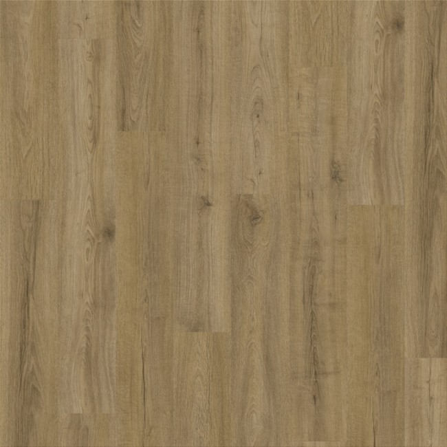 Canyon Oak 90853