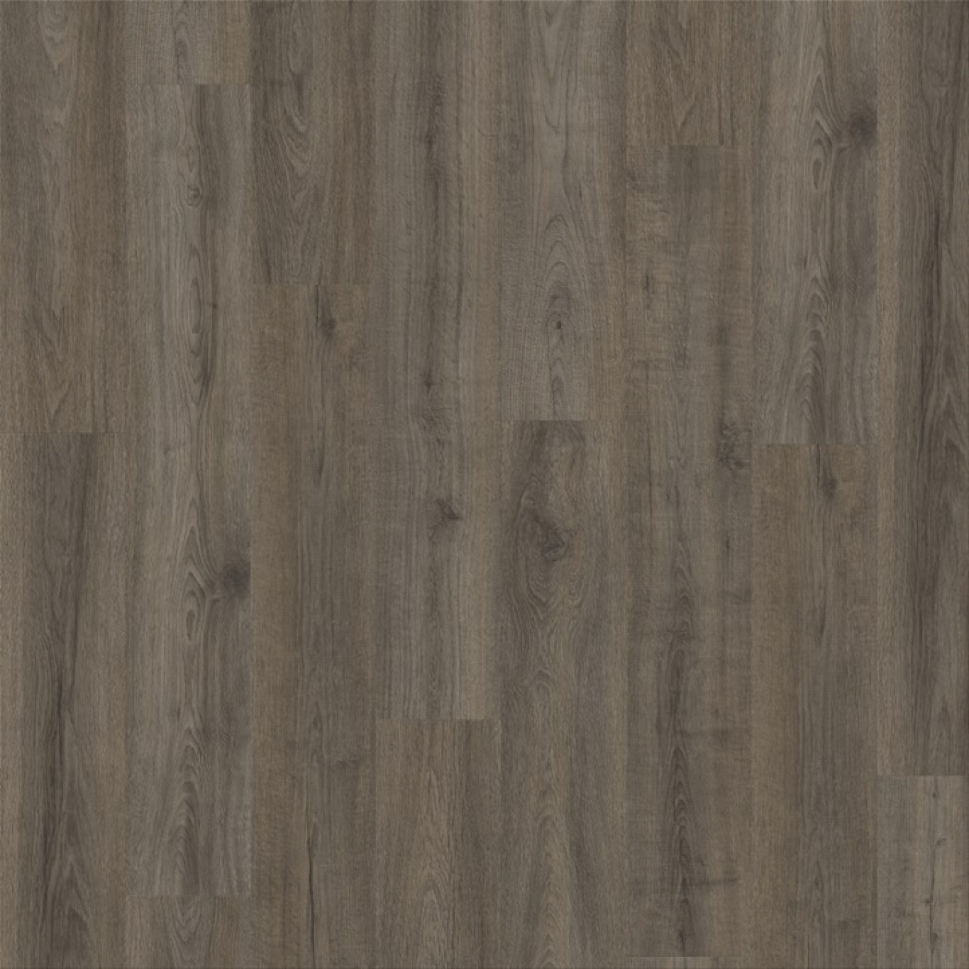 Canyon Oak 90865