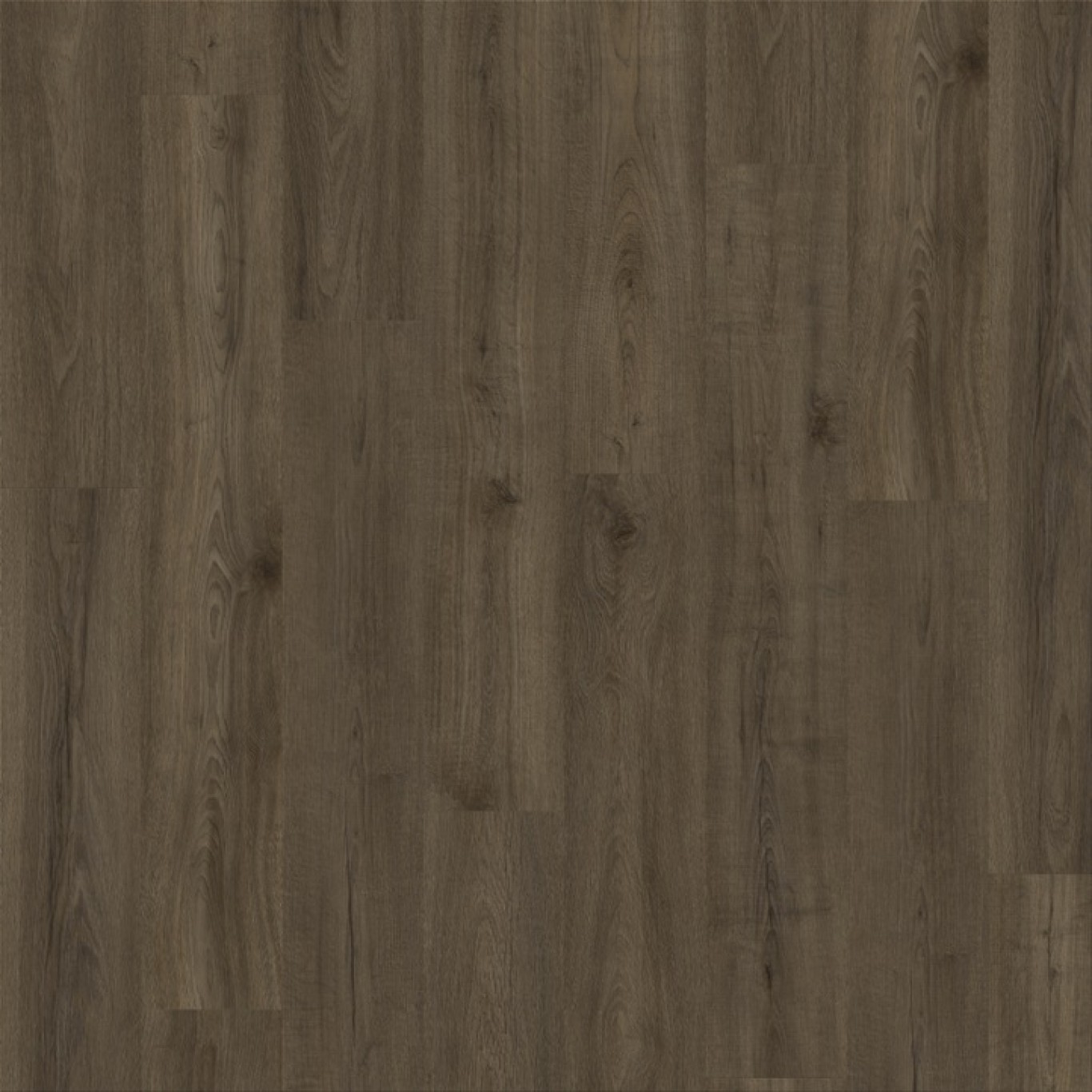 Canyon Oak 90885
