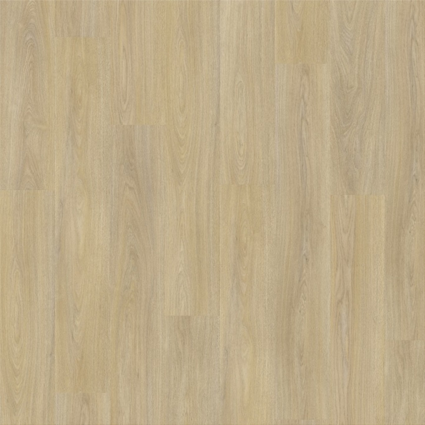 Kingley Oak 92348