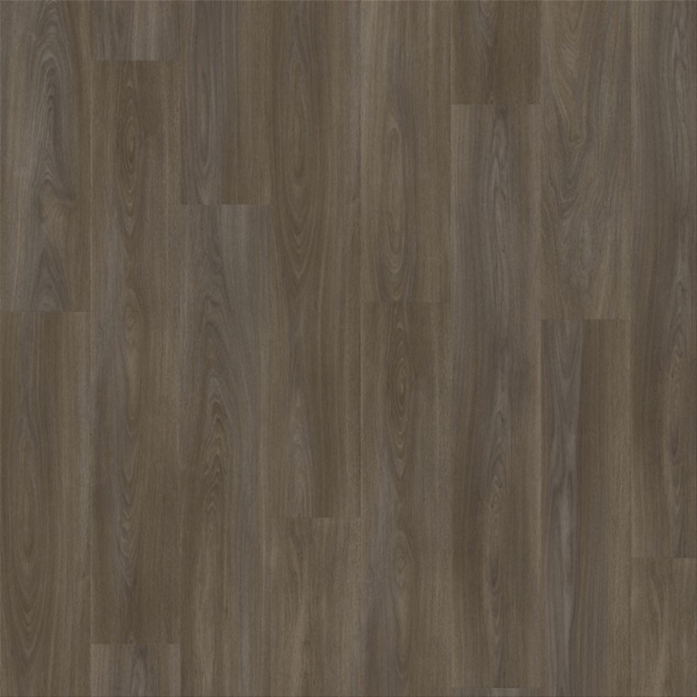 Kingley Oak 92869