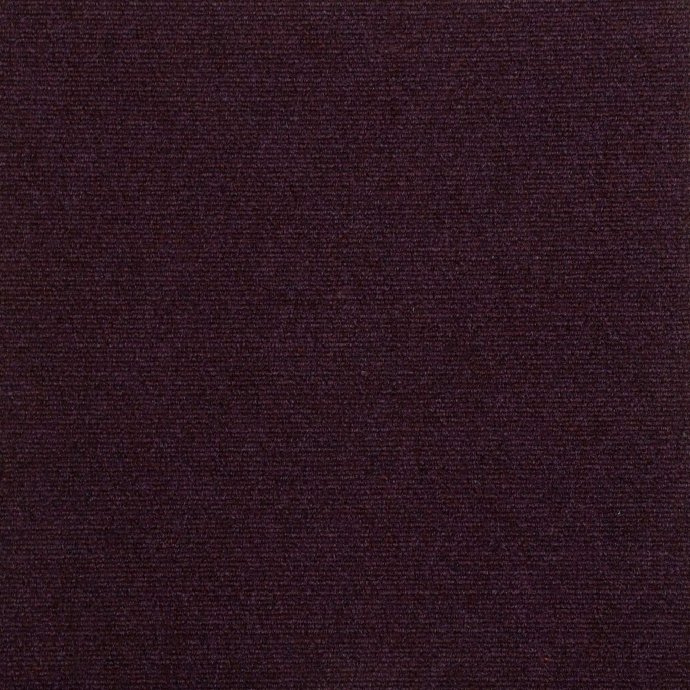 cordiale-12184-australian-violet