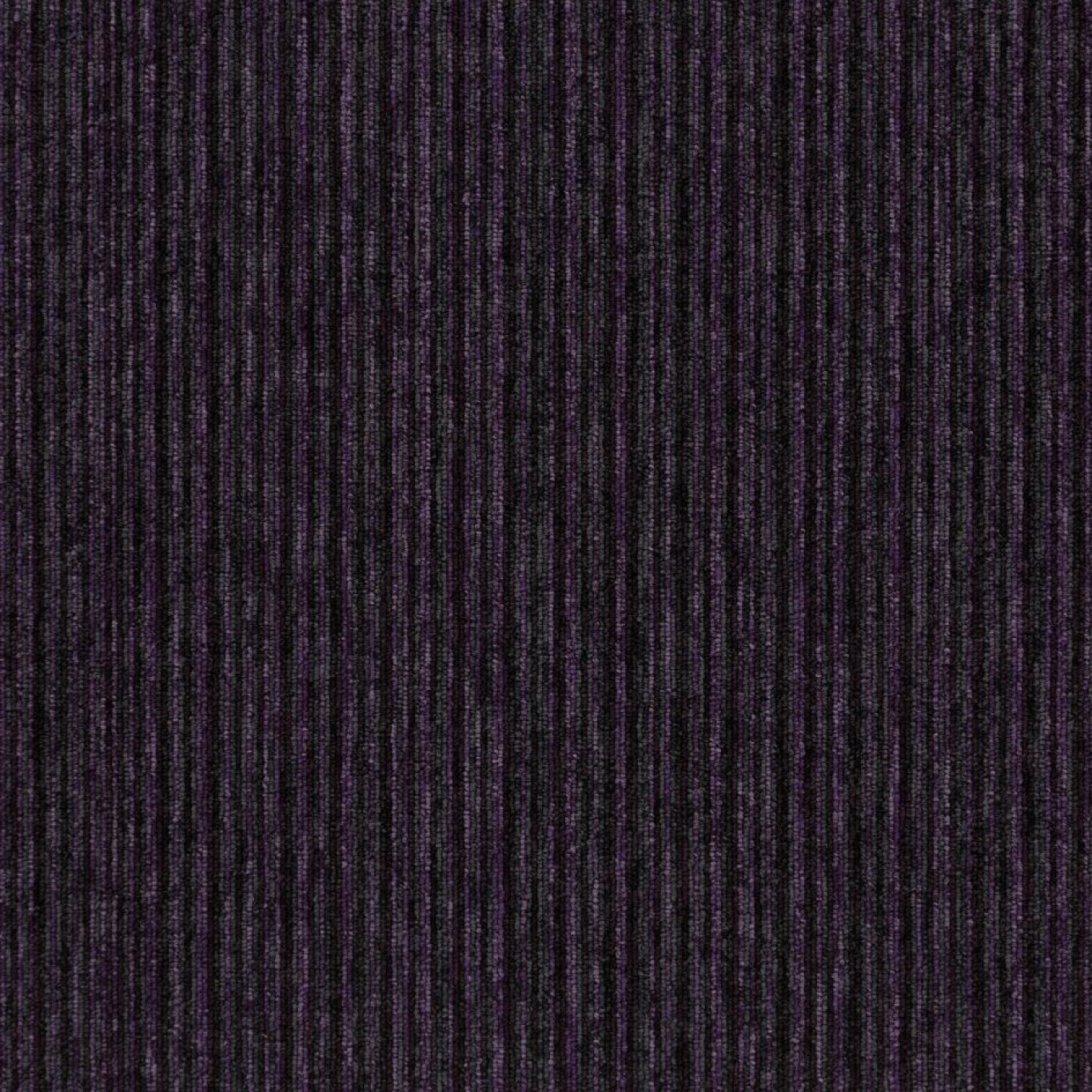 tivoli-multiline-20712-cayman-purple