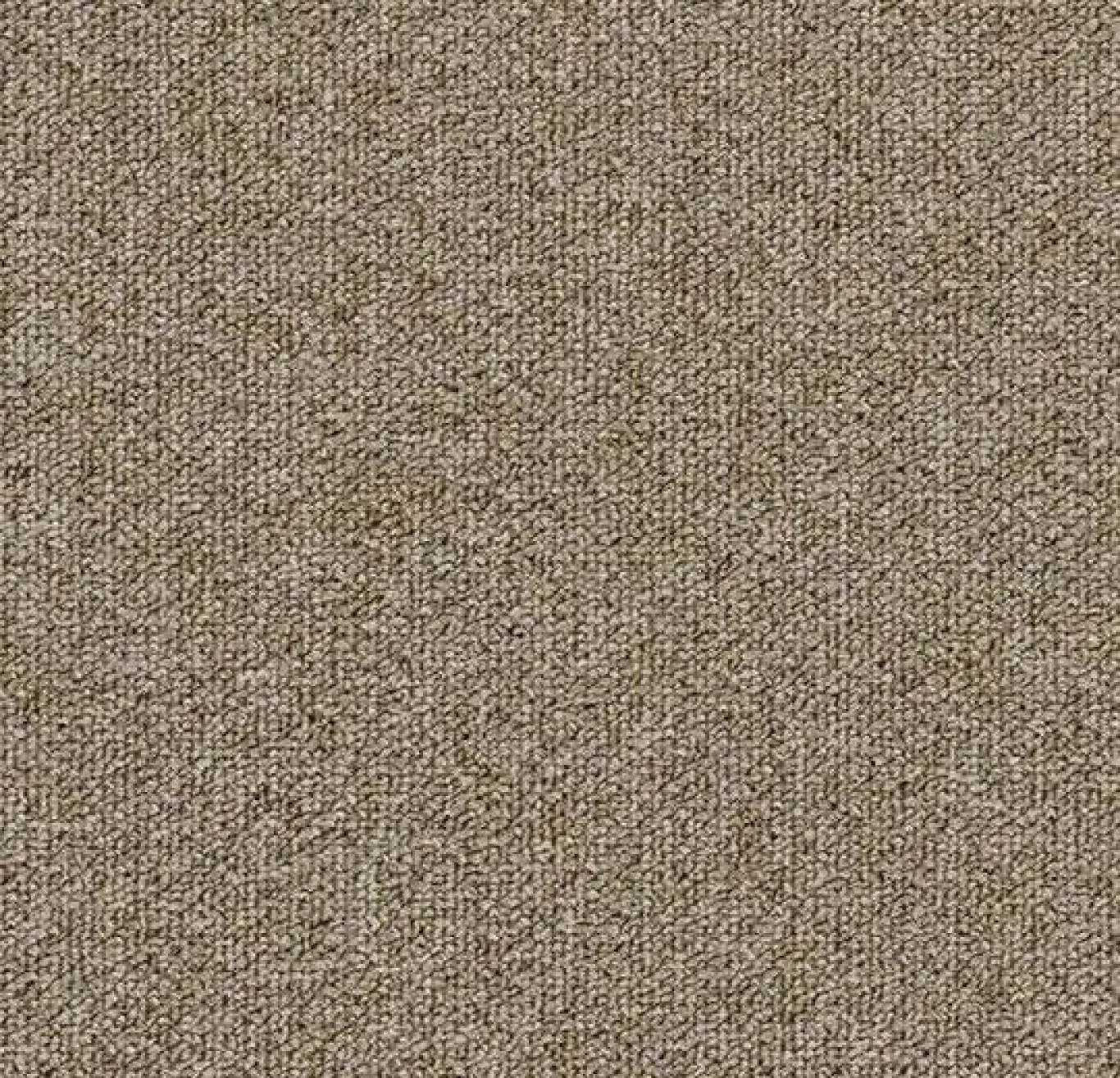 Teviot Pro - 4368 beige