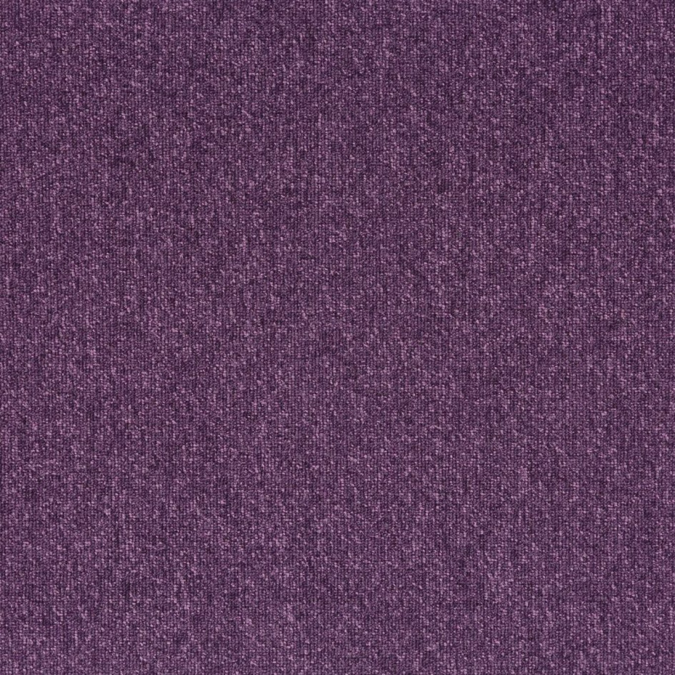 go-to-21821-purple