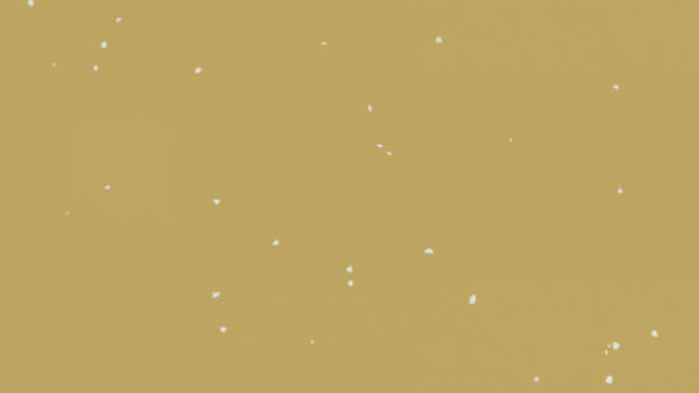 Tapiflex_Platinium_100_Snow_Mustard