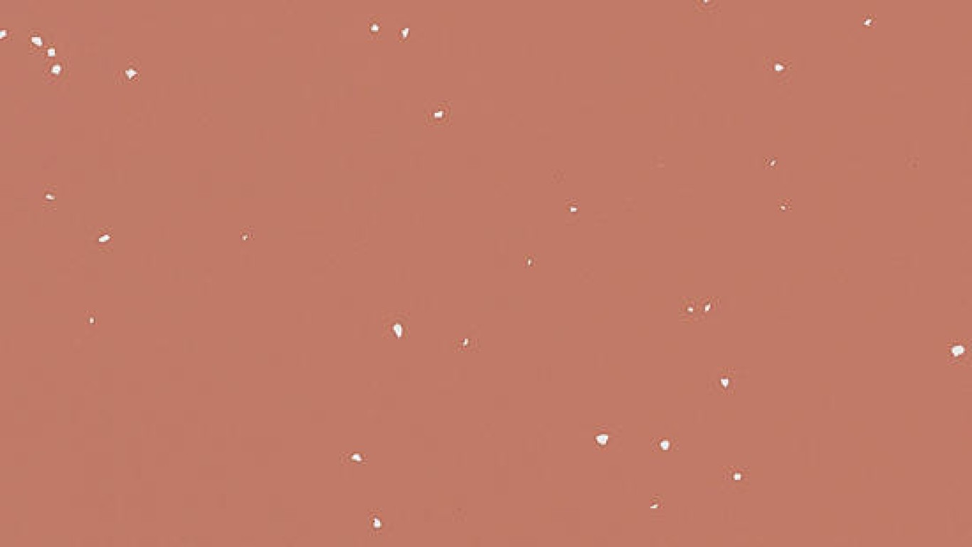 Tapiflex_Platinium_100_Snow_Terracotta