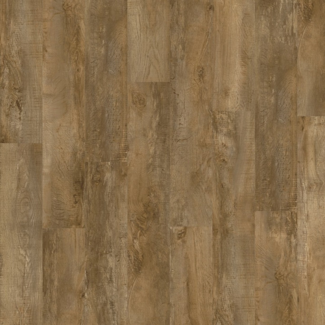 Country Oak 24842