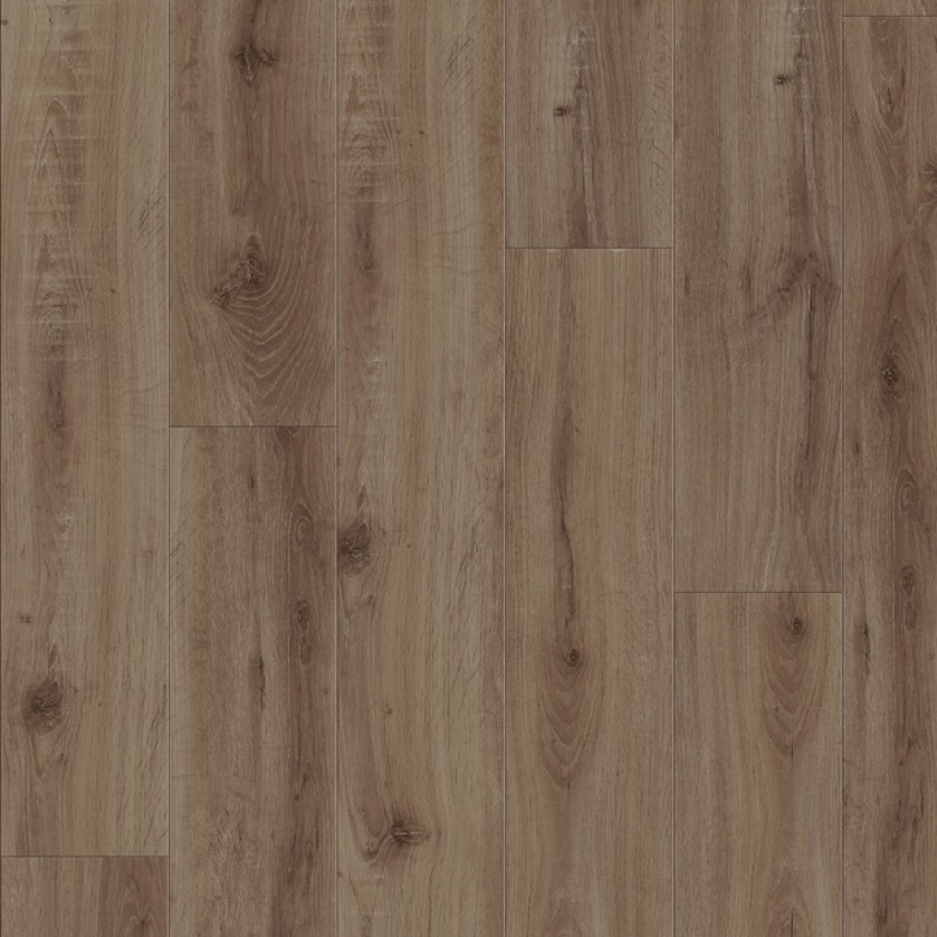 European Oak 2870