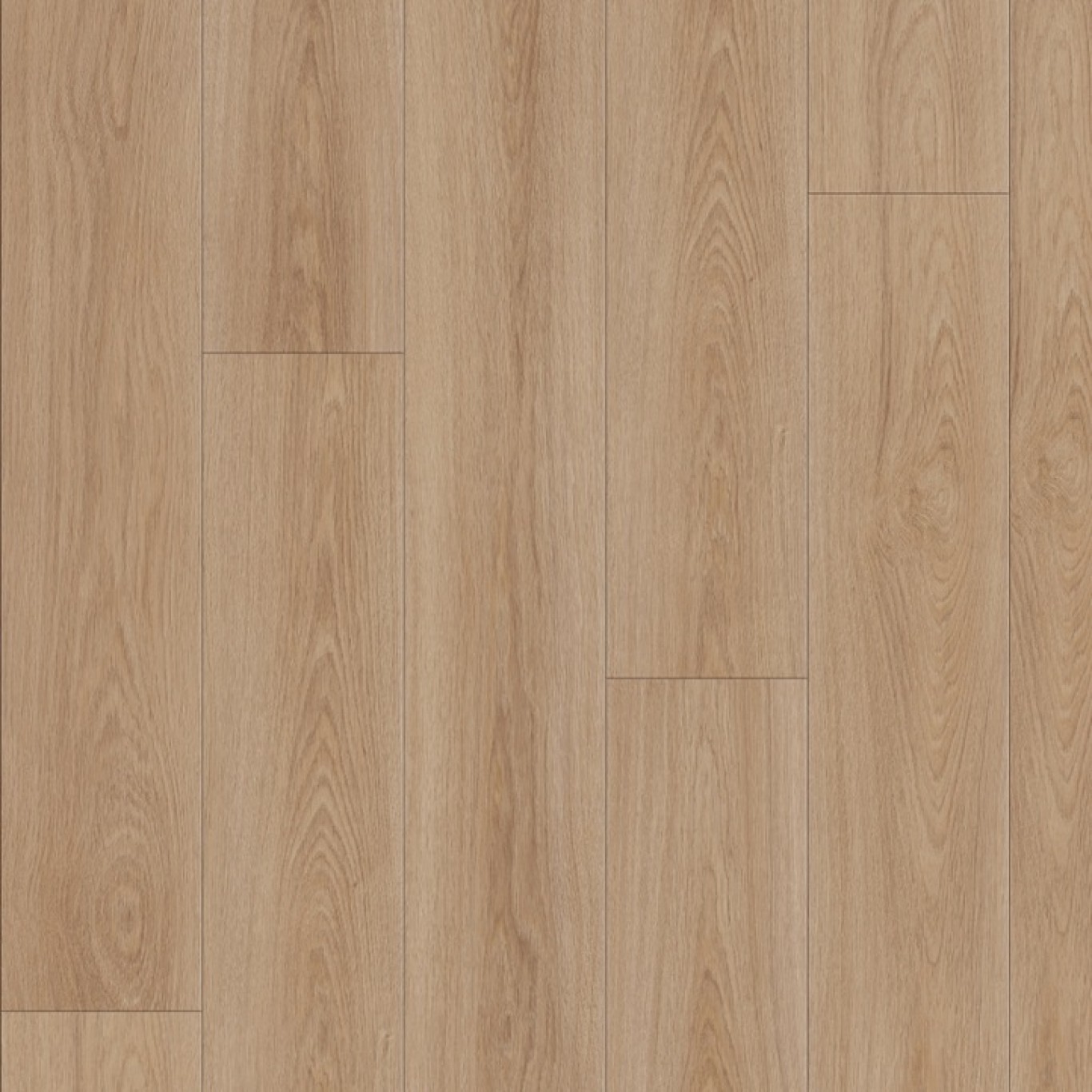 Riviera Oak 1240