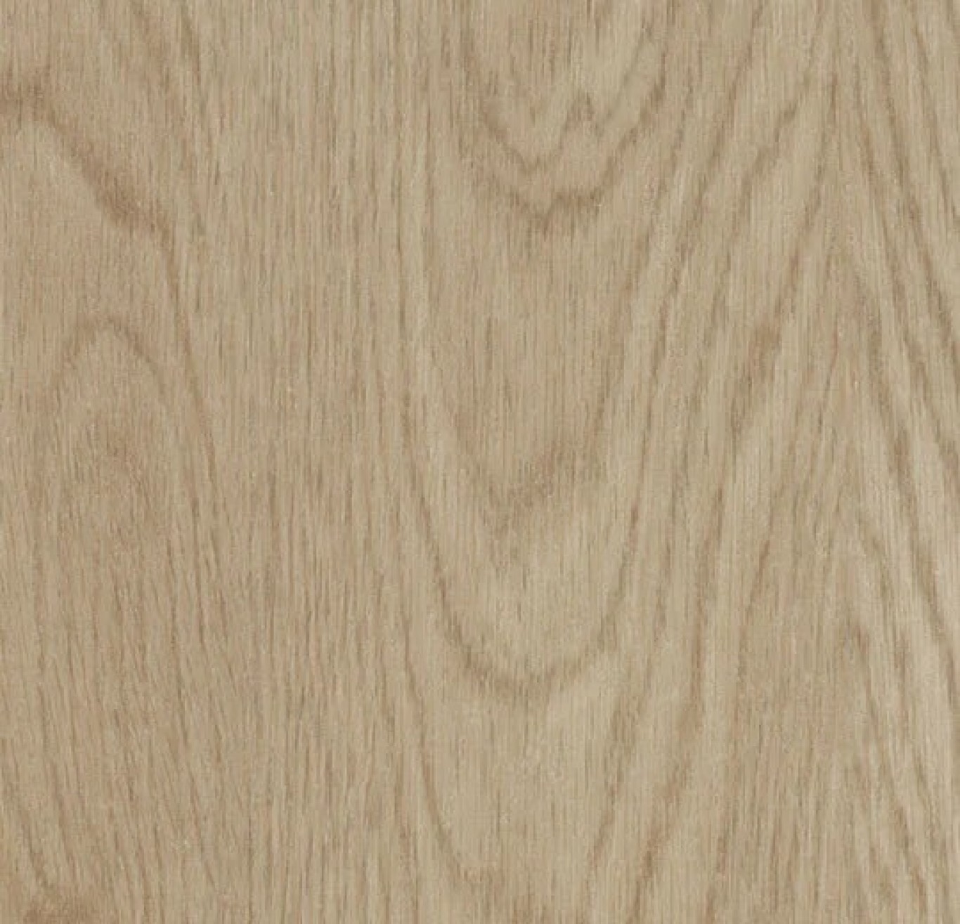 60064DR7_Whitewash_Elegant_Oak