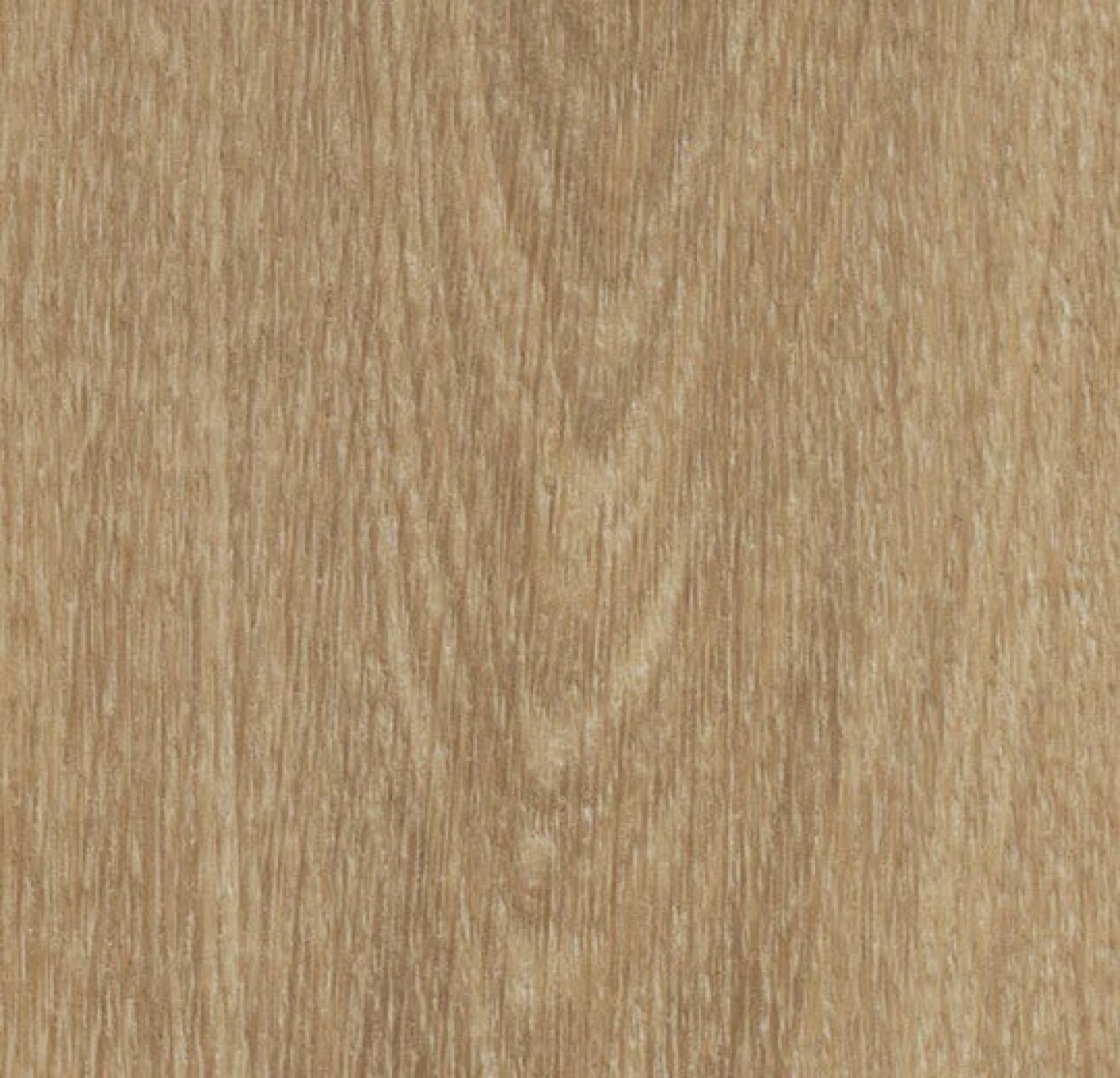 60284DR5_Natural_Giant_Oak