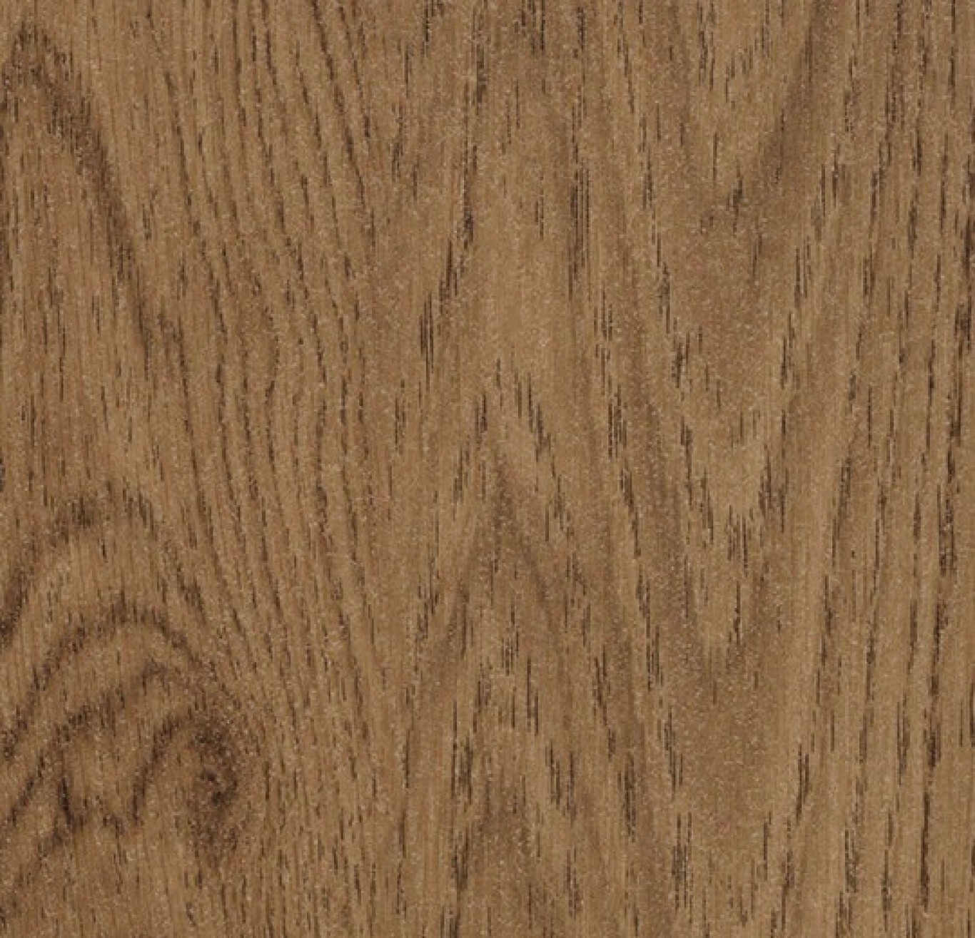 60168FL5_Amber_Elegant_Oak