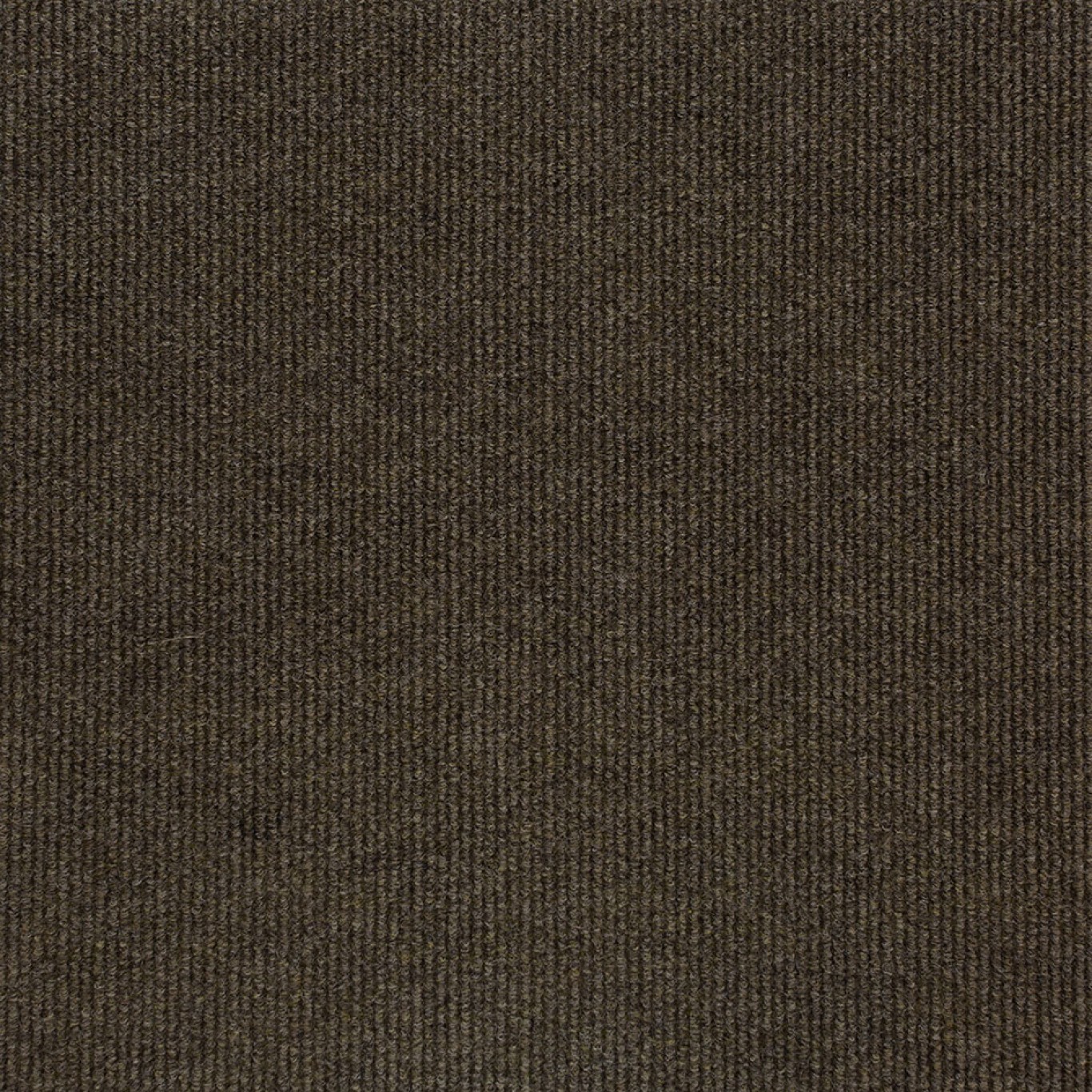 academy-11865-earth-brown