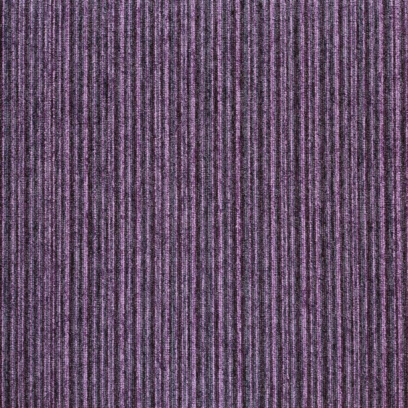 tivoli 20714 multiline hawaiian purple
