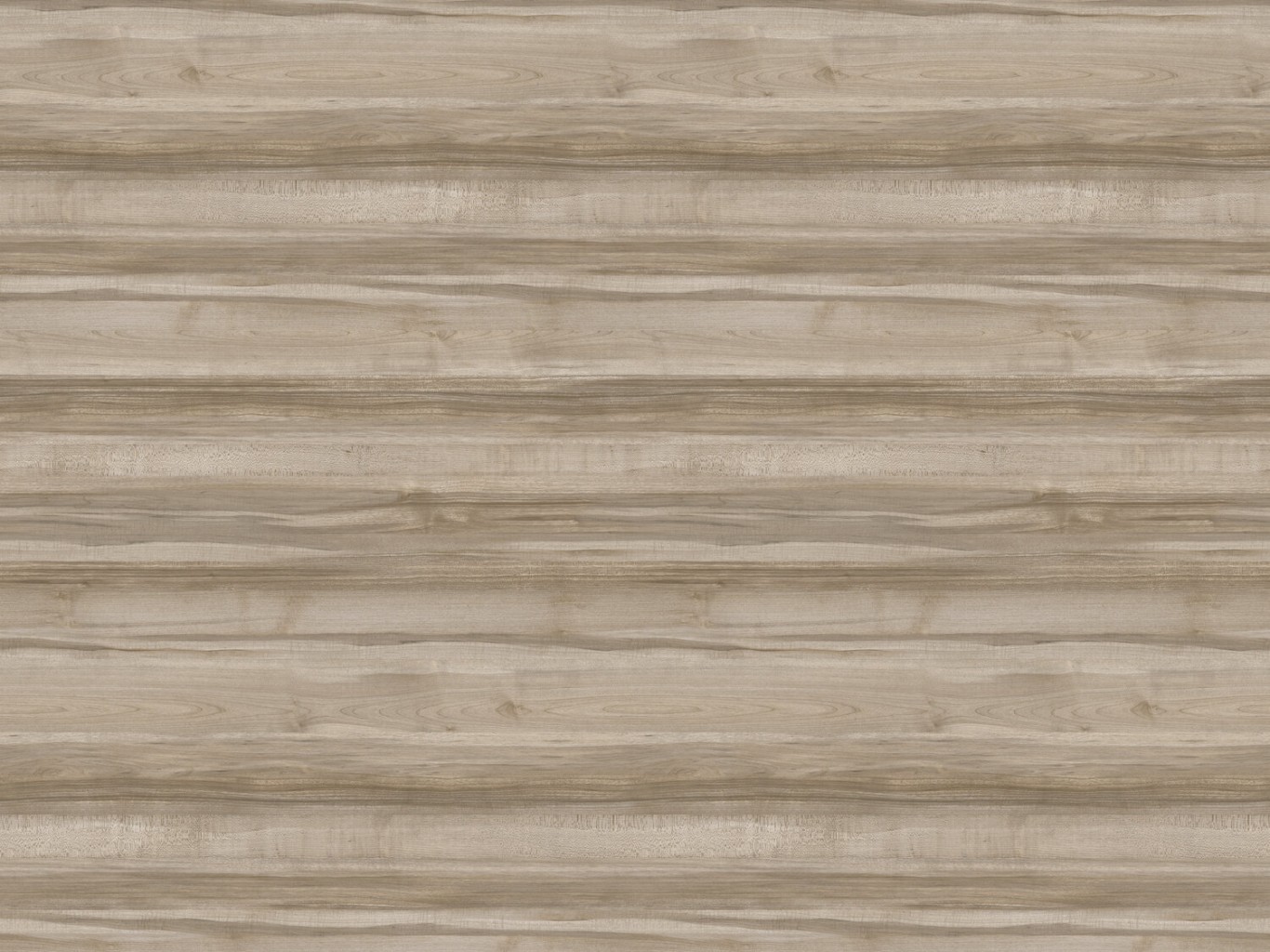 0725 sycamore-light-brown
