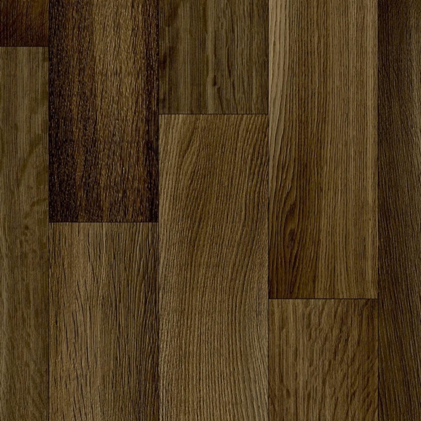 Botticelli T88