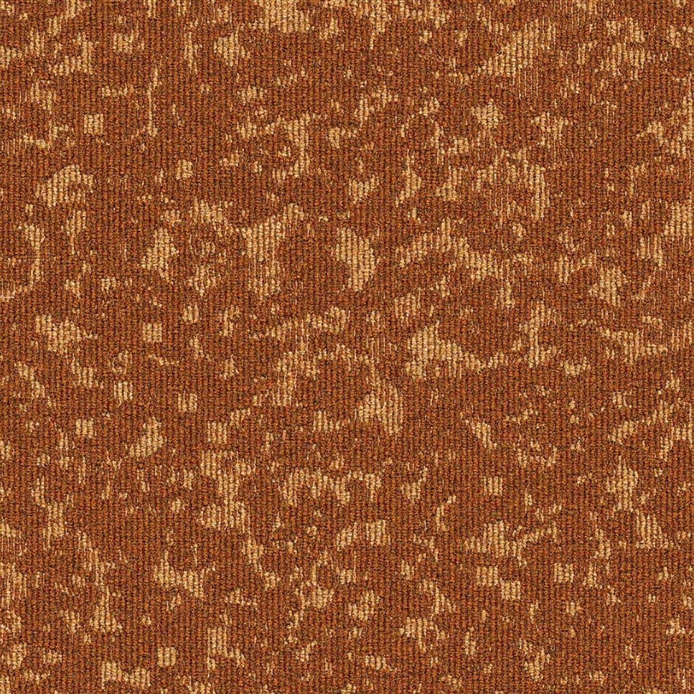 35515 Apricot Mural