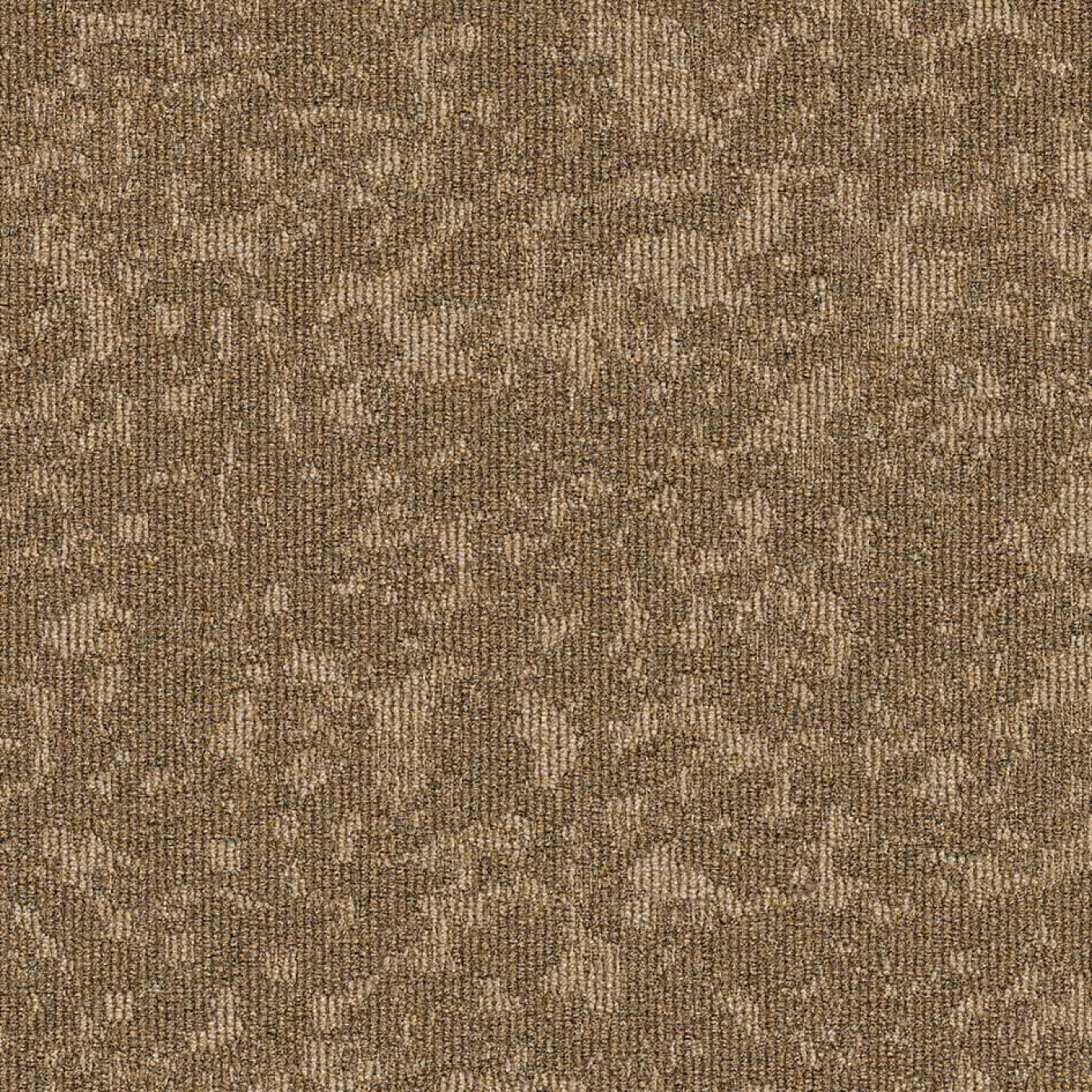 35503 Golden Tone