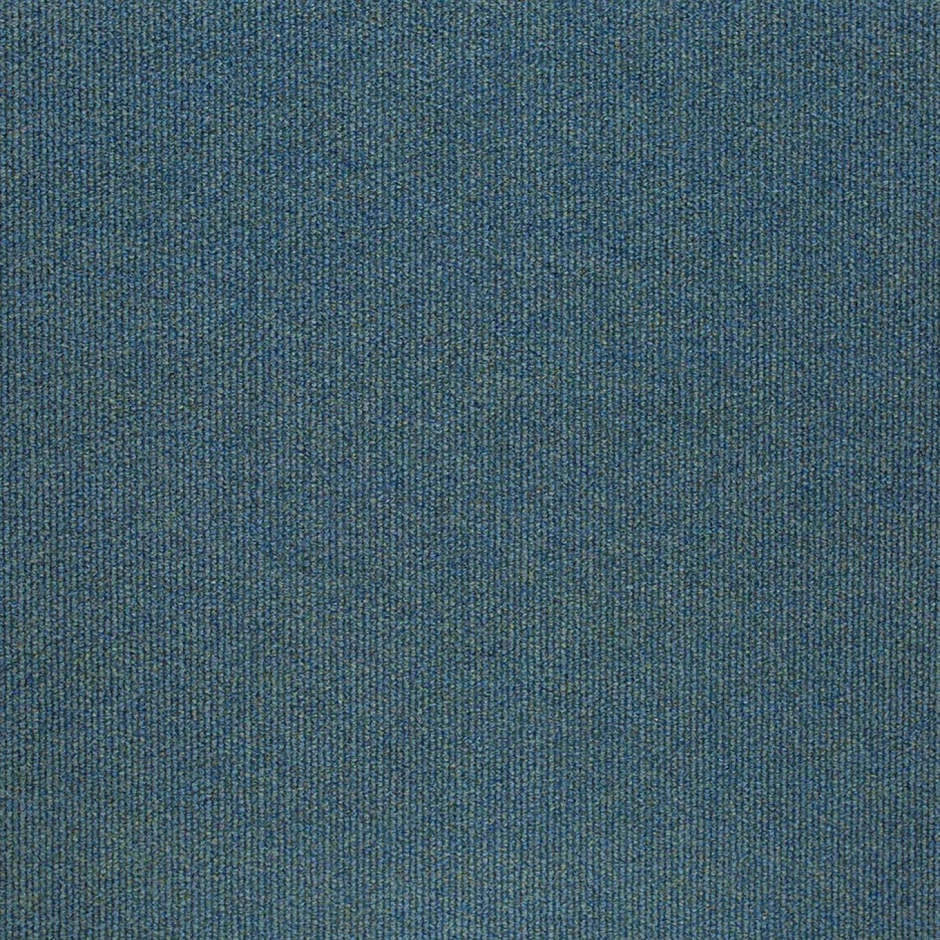 12173 Peacock