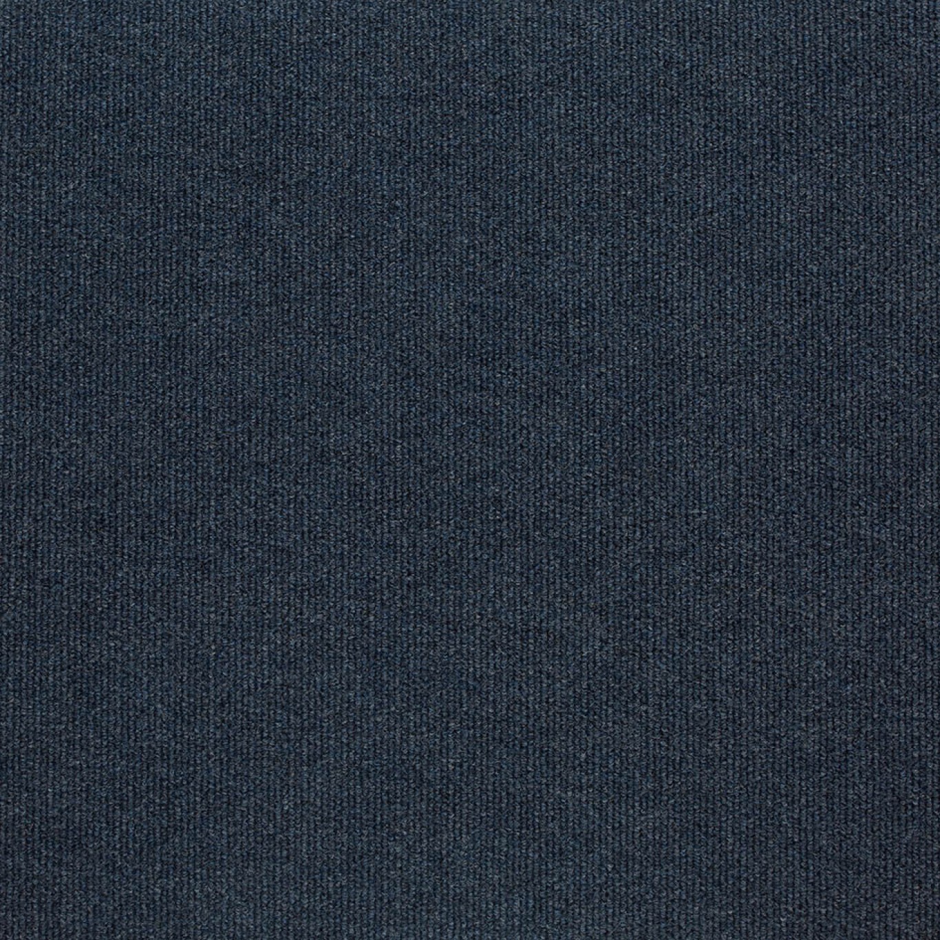 12161 ocean