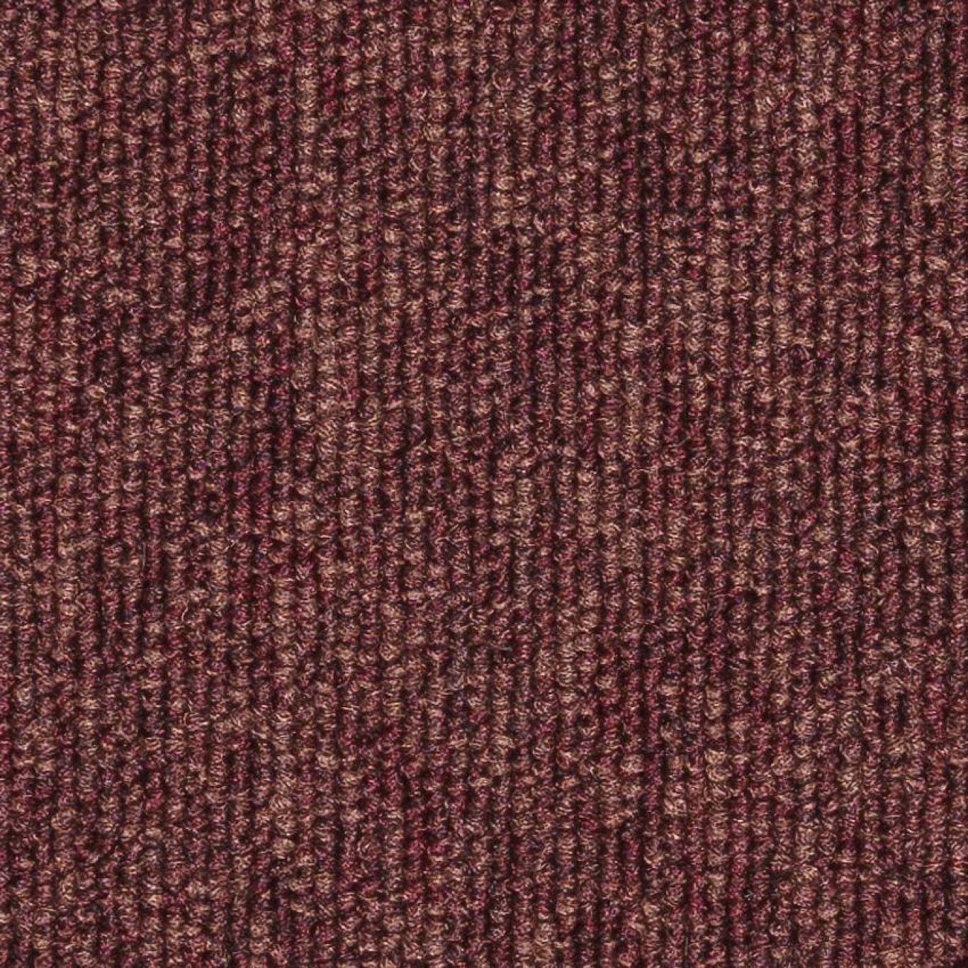 Pilote² - 585 N