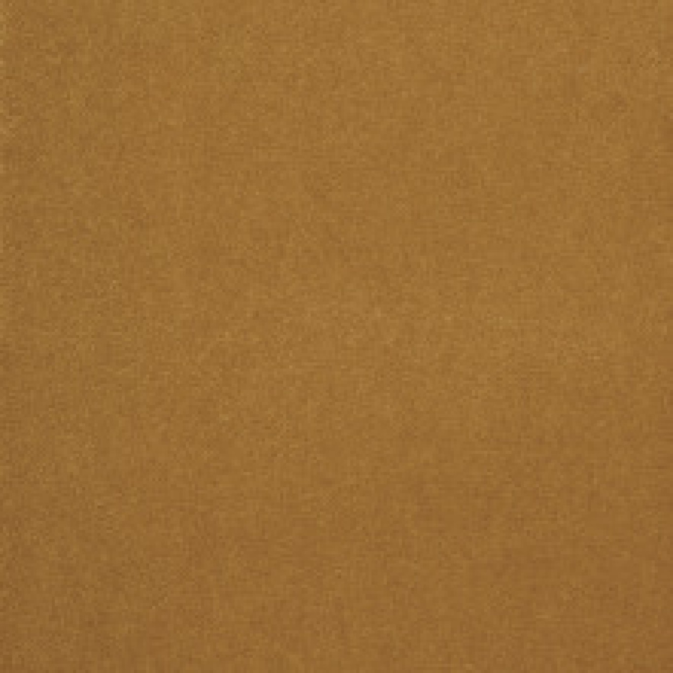 RIVE GAUCHE_360_YELLOW