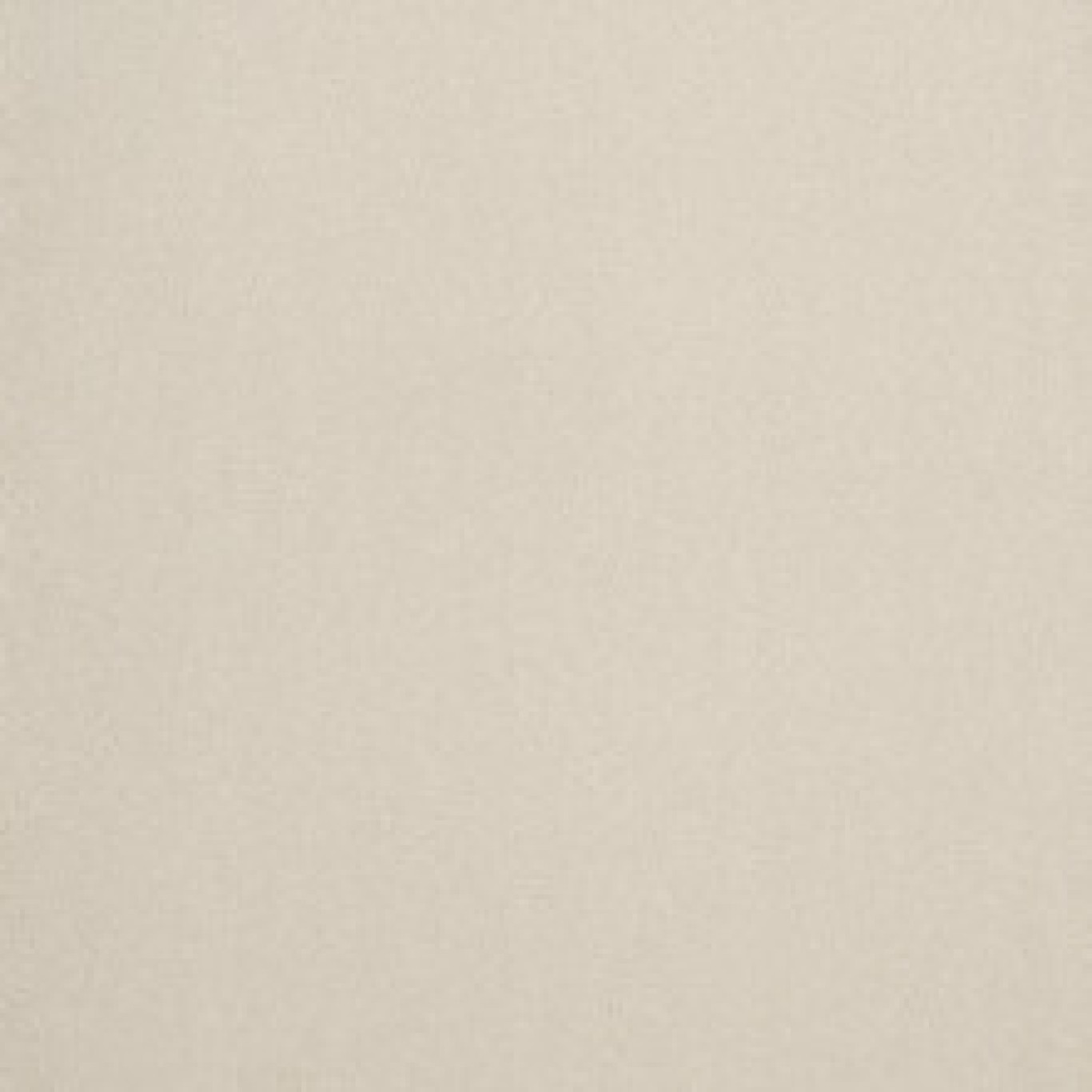 72_dpi_4C8J0044_Sample_carpet_GRAND PALAIS_610_BEIGE
