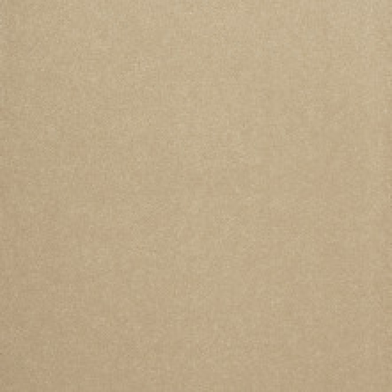 72_dpi_4C8J0064_Sample_carpet_GRAND PALAIS_650_BEIGE