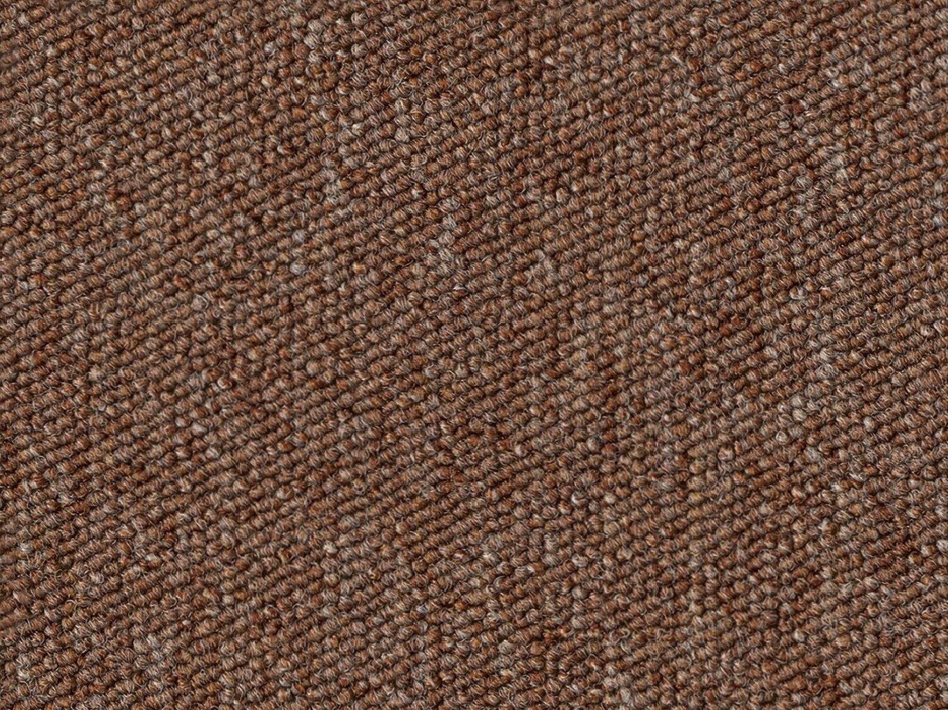 4302 TERRACOTTA