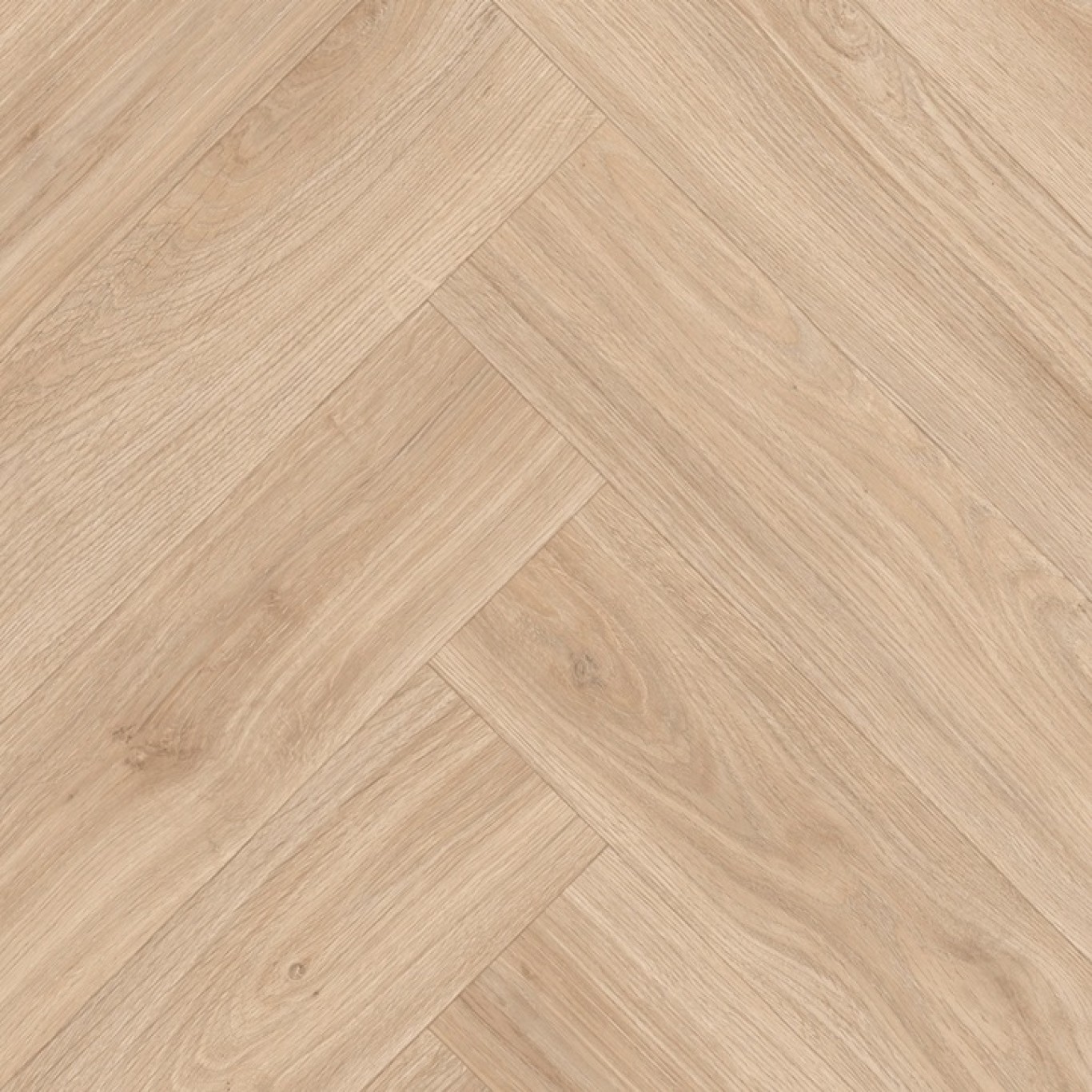 Barbellino Oak 538