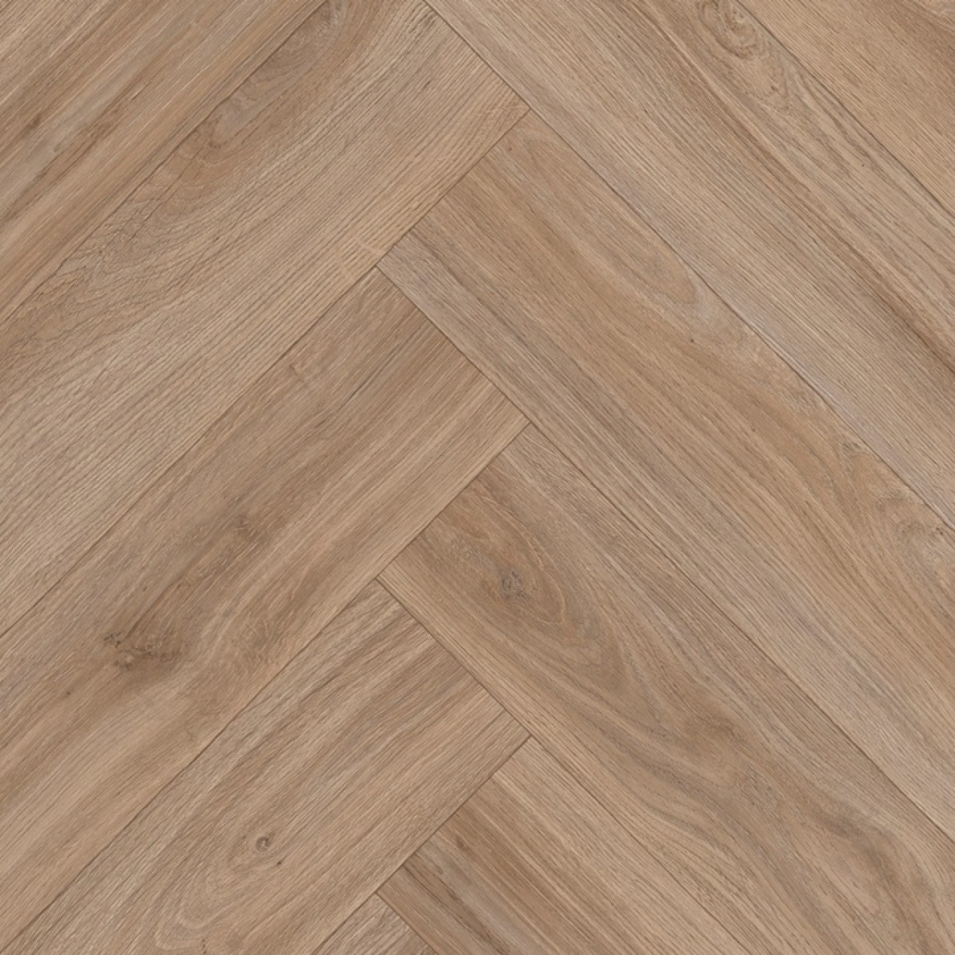 Barbellino Oak 548