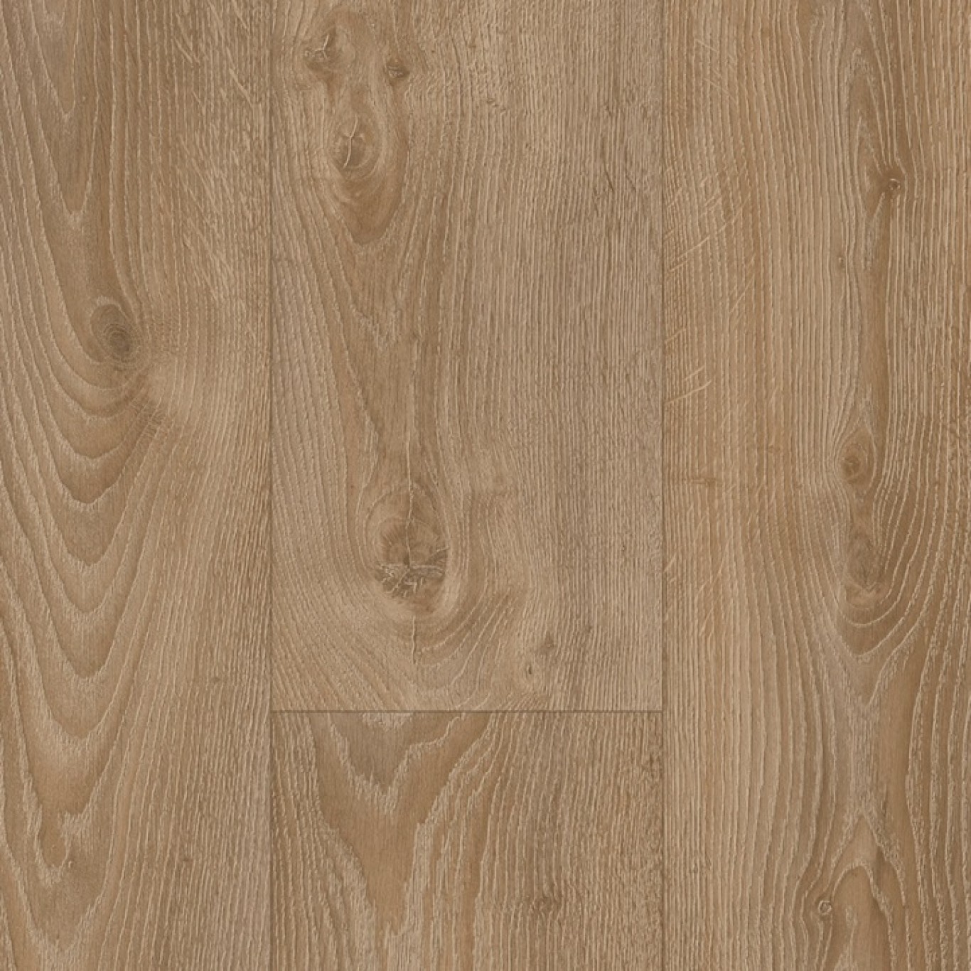 Pollino Oak W49