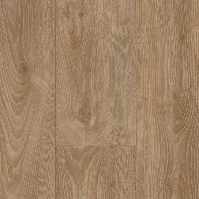 Pollino Oak W49