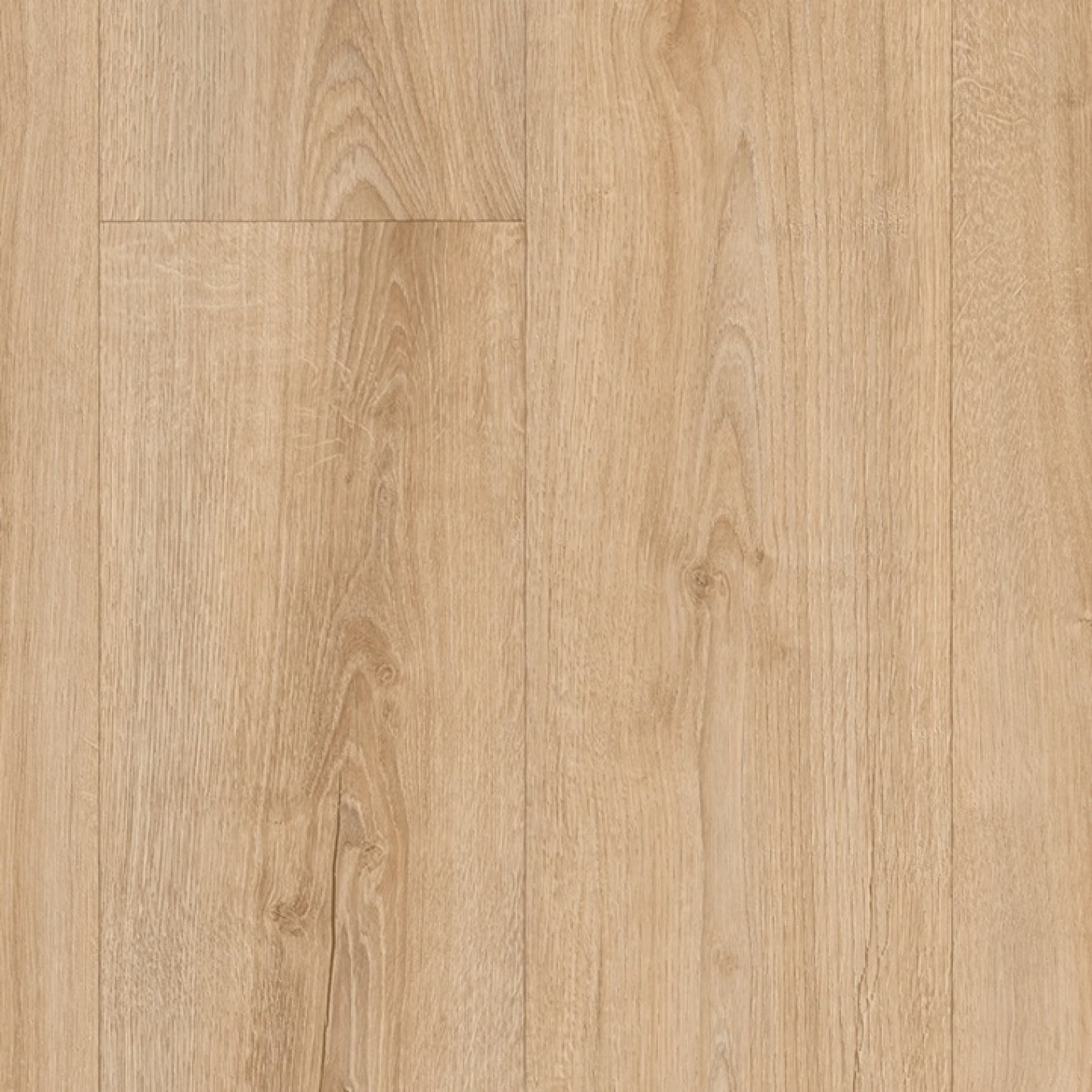 Sundance Oak 536