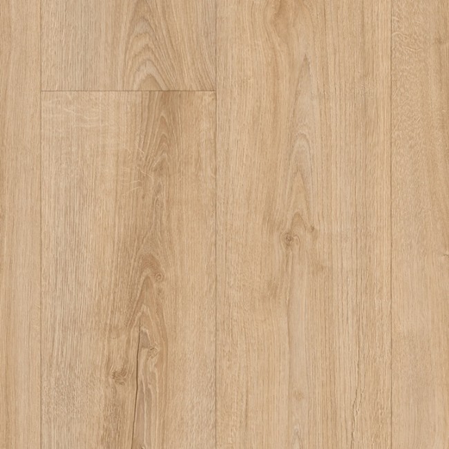 Sundance Oak 536