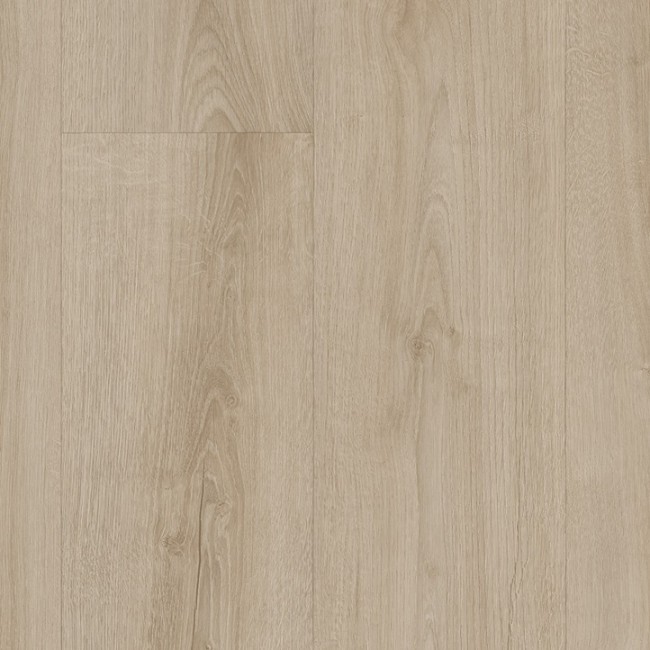Sundance Oak 543