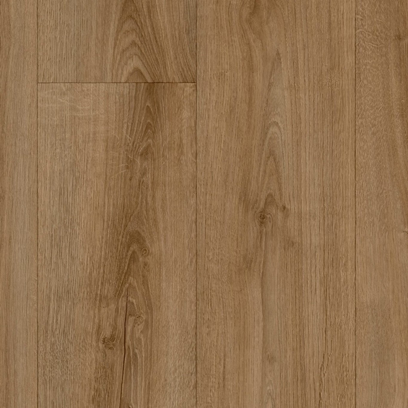 Sundance Oak 546