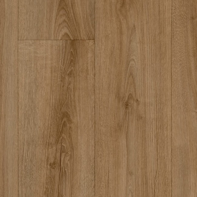 Sundance Oak 546